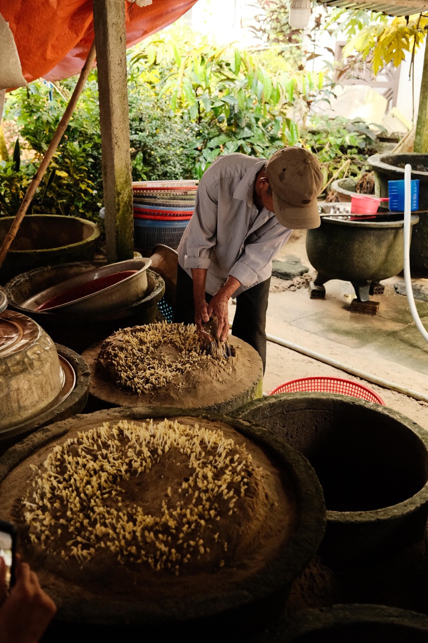 Hidden Gems of Old Hoi An 5