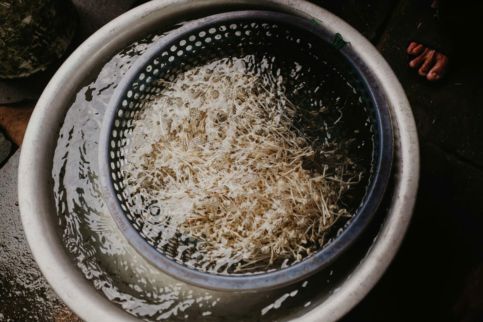 New Hidden Gems of Old Hoi An 6 Tour photo 6