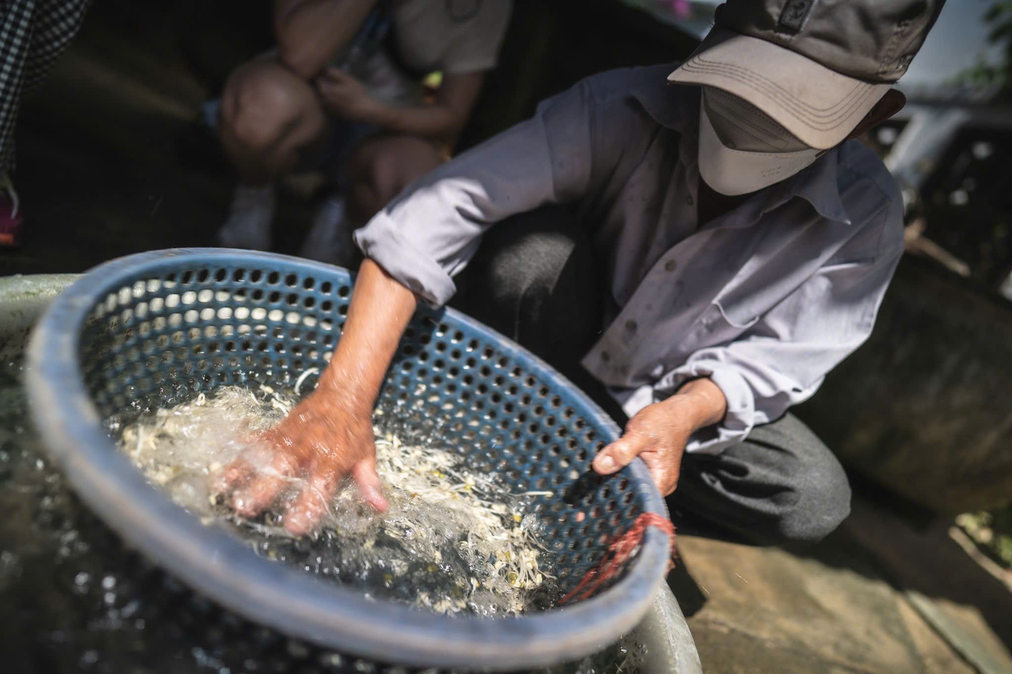 New Hidden Gems of Old Hoi An 5 Tour photo 5